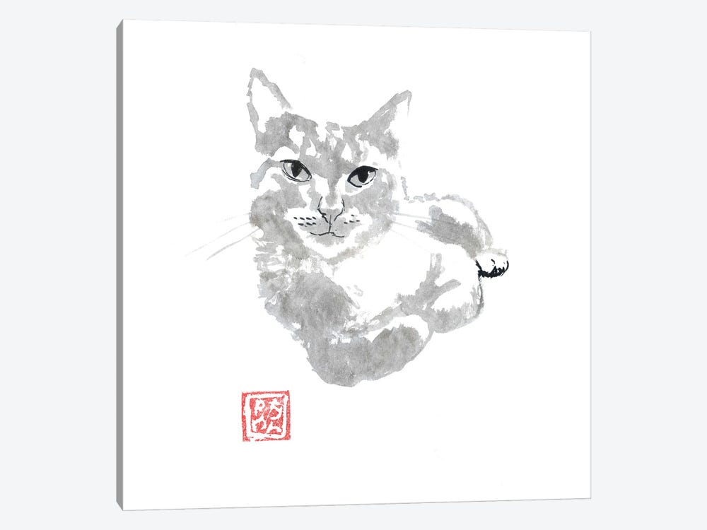 Yellow Cat Rounded Paws by Péchane 1-piece Art Print