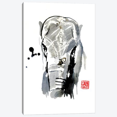 Asian Elephant Canvas Print #PCN5} by Péchane Canvas Artwork