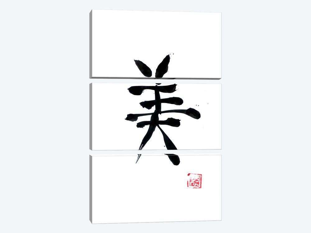 Beauty Kanji White by Péchane 3-piece Canvas Art