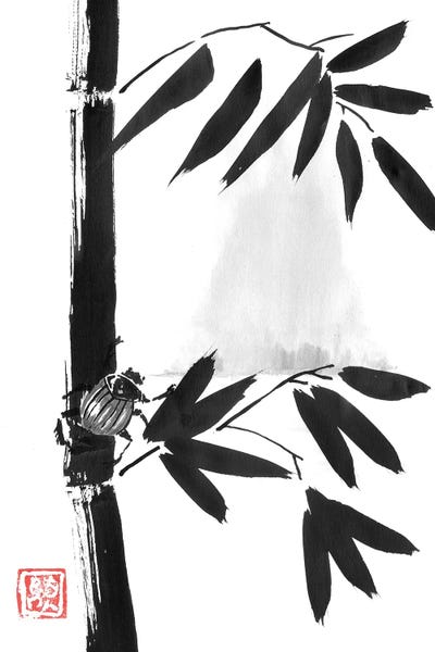 Bamboo: Beetle And Mountain by Péchane