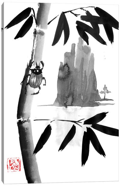 Beetle And Mountain II Canvas Art Print - Bamboo Art