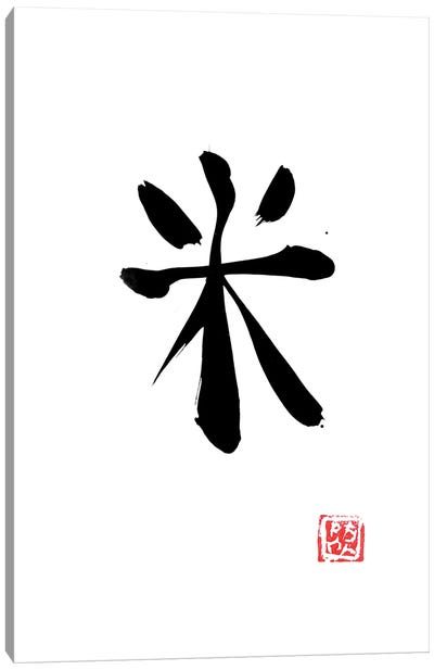 Rice Kanji Canvas Art Print - Asian Cuisine Art