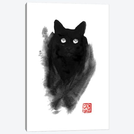 Fluffy Cat Canvas Print #PCN64} by Péchane Canvas Artwork