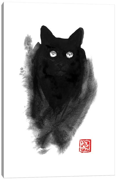 Fluffy Cat Canvas Art Print - Black Cat Art
