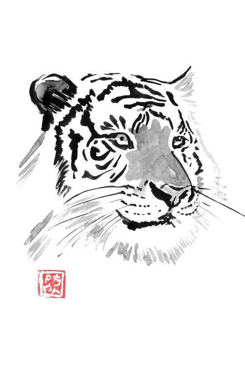 White Tiger