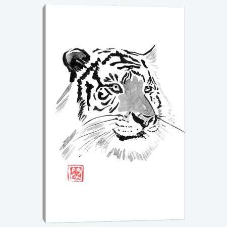 White Tiger Canvas Print #PCN654} by Péchane Canvas Art Print