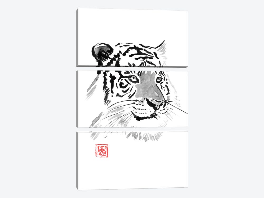 White Tiger by Péchane 3-piece Art Print