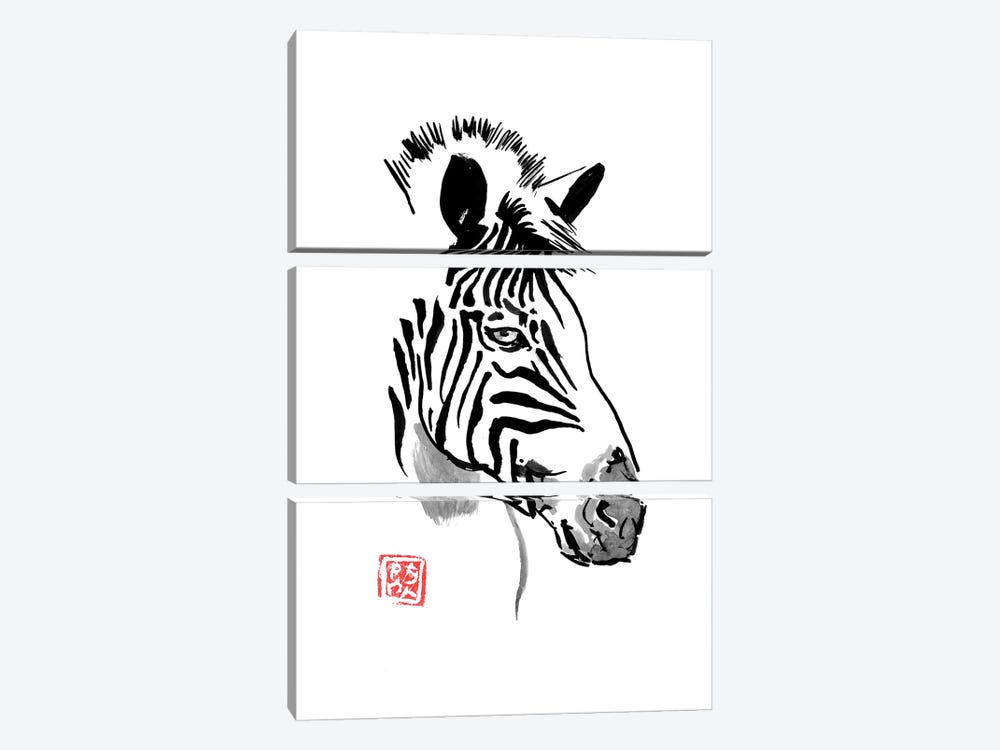 Zebra by Péchane 3-piece Art Print