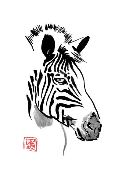 Zebras: Zebra by Péchane