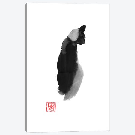 Shadow Cat Canvas Print #PCN658} by Péchane Canvas Artwork