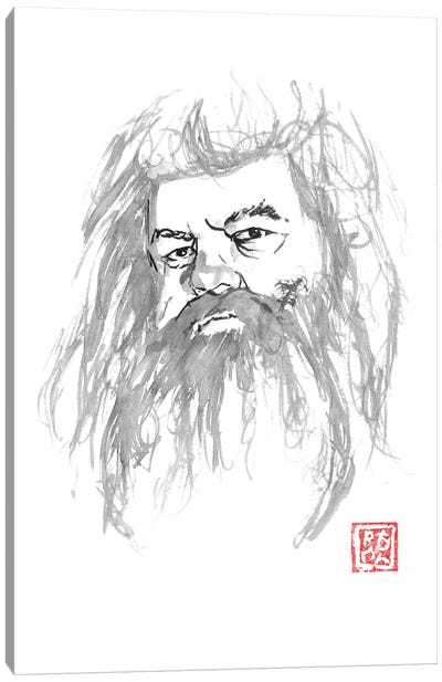 Hagrid Canvas Art Print - Péchane