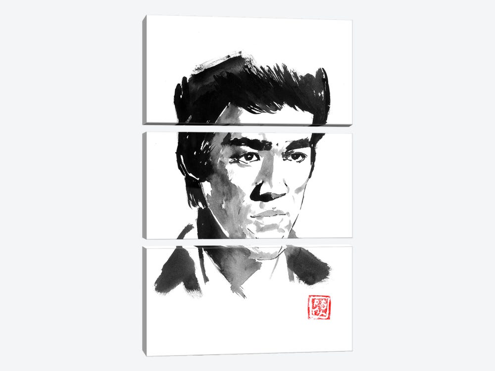 Bruce Lee Portrait by Péchane 3-piece Canvas Wall Art
