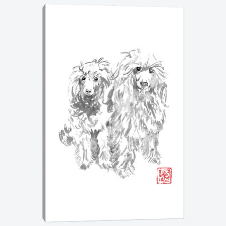 2 Dogs Canvas Print #PCN699} by Péchane Canvas Wall Art
