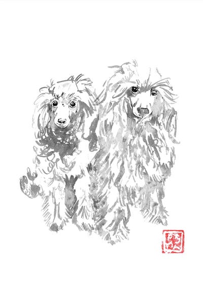2 Dogs