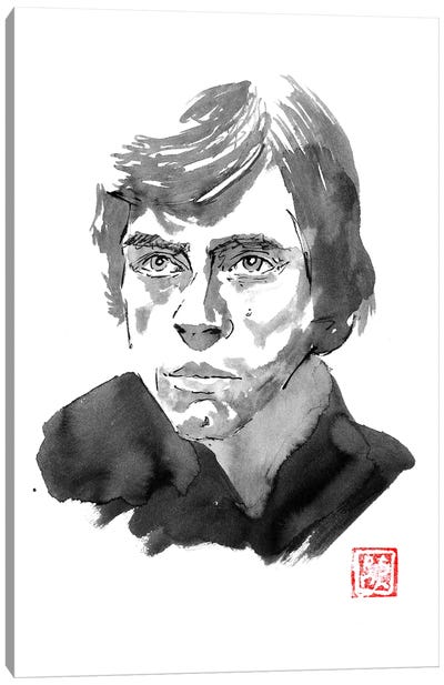 Luke Canvas Art Print - Star Wars