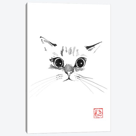 Big Eyed Cat Canvas Print #PCN712} by Péchane Canvas Print