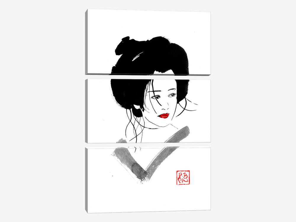 Uncombed Geisha by Péchane 3-piece Canvas Artwork