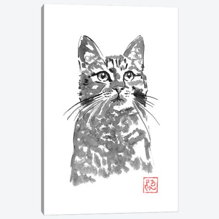 Proud Cat Canvas Print #PCN724} by Péchane Canvas Print
