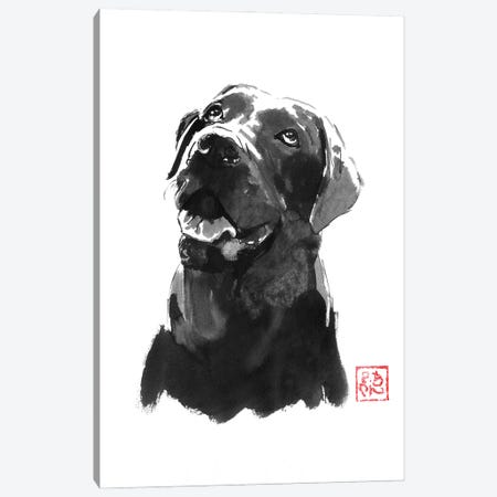 Big Dog Canvas Print #PCN729} by Péchane Canvas Art