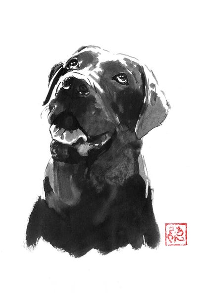 Labrador Retrievers: Big Dog by Péchane