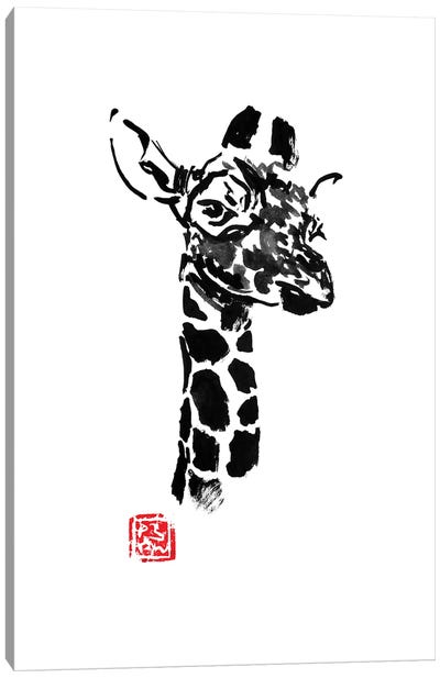 Giraffe Canvas Art Print - Péchane
