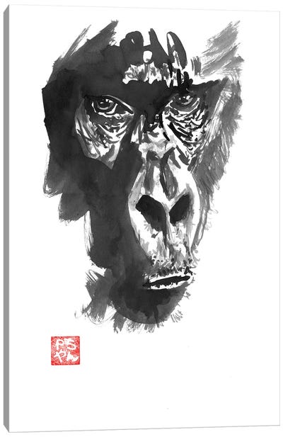 Gorilla Canvas Art Print - Péchane