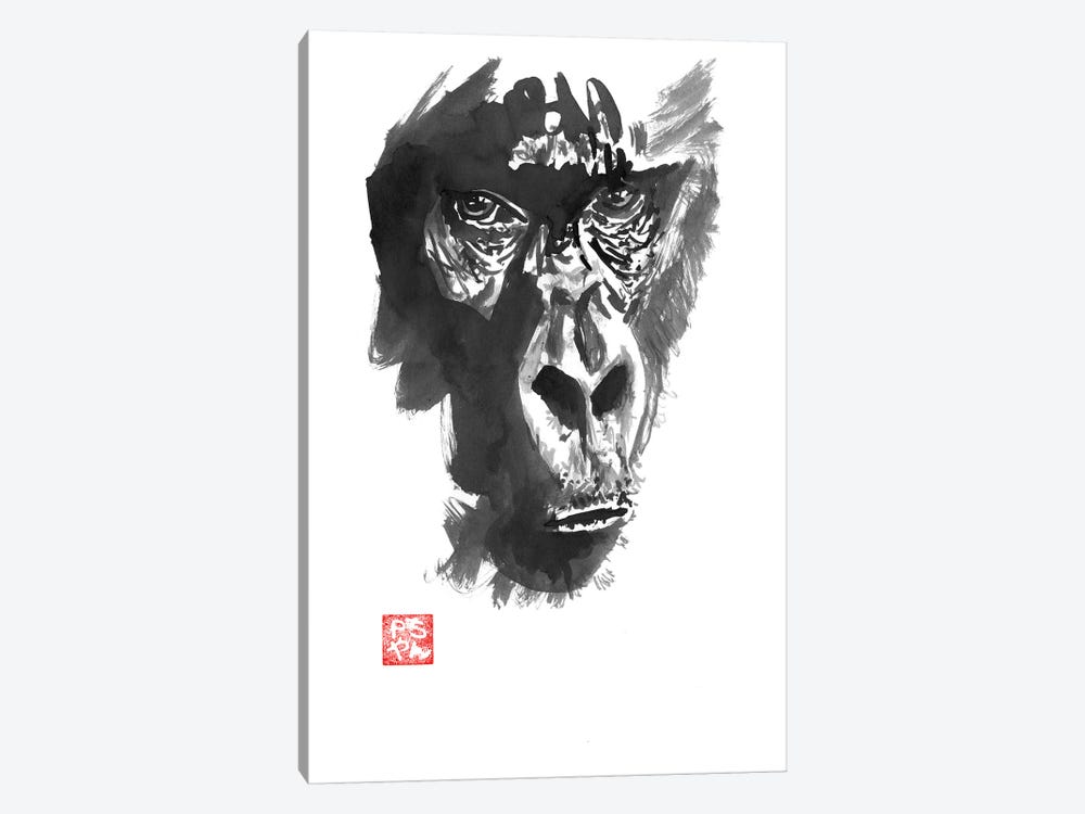 Gorilla by Péchane 1-piece Canvas Print
