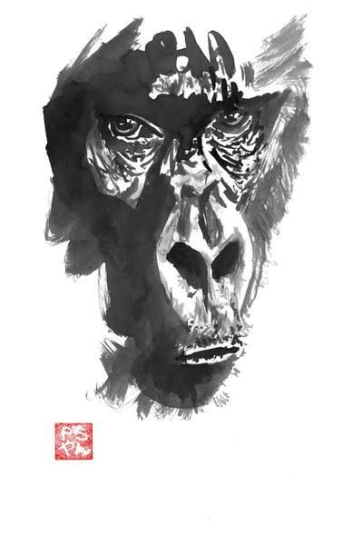 Gorillas: Gorilla by Péchane