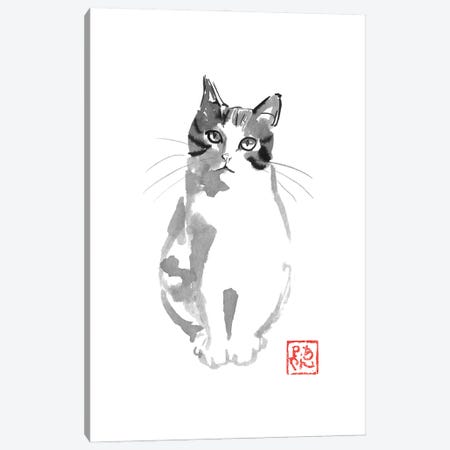 Cute White Cat Canvas Print #PCN746} by Péchane Art Print