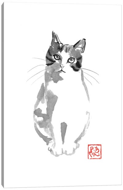 Cute White Cat Canvas Art Print - Péchane