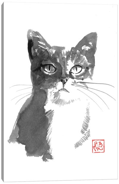 Mokka Cat Canvas Art Print - Péchane