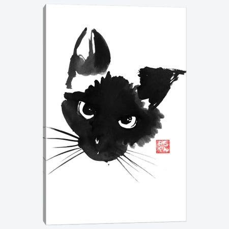 Grumpy Siamese Cat Canvas Print #PCN74} by Péchane Art Print