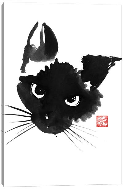 Grumpy Siamese Cat Canvas Art Print