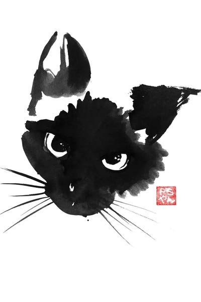 Siamese: Grumpy Siamese Cat by Péchane