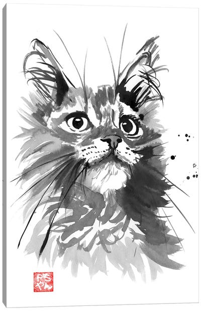 Hairy Cat Canvas Art Print - Péchane
