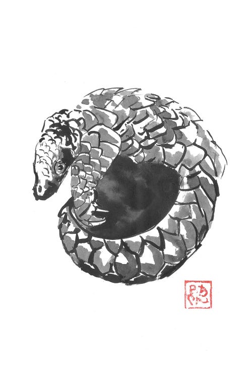 Pangolin