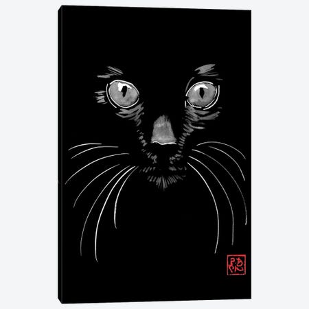 Black Cat In Black Canvas Print #PCN769} by Péchane Canvas Wall Art