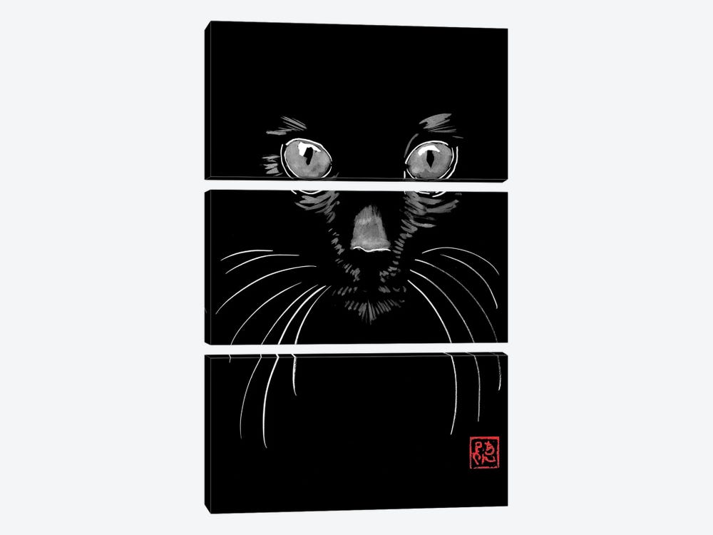 Black Cat In Black by Péchane 3-piece Canvas Artwork