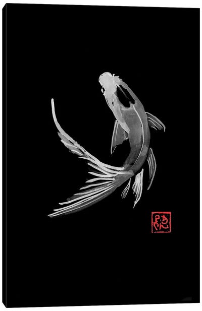 Carp Koi In Black Canvas Art Print - Koi Fish Art