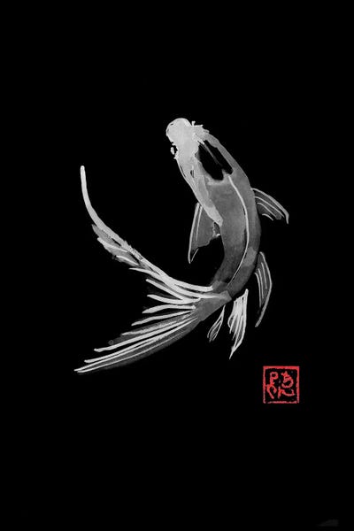 Koi: Carp Koi In Black by Péchane