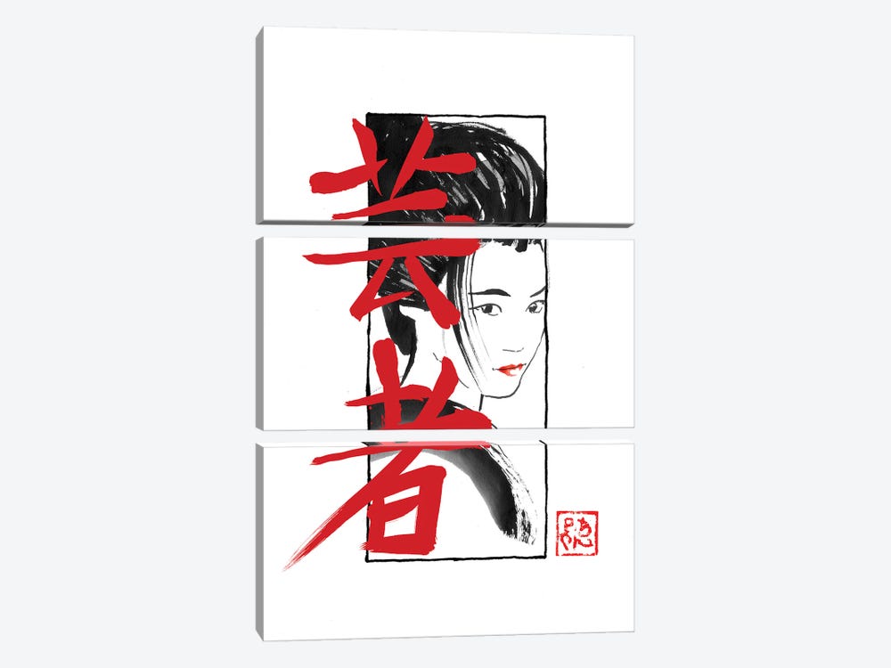 Geisha Kanji by Péchane 3-piece Canvas Art