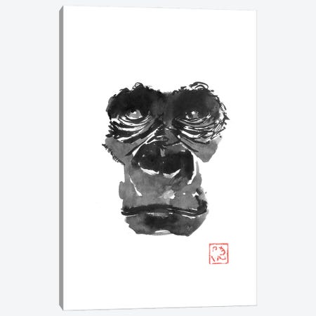 Gorilla Face Canvas Print #PCN773} by Péchane Canvas Print