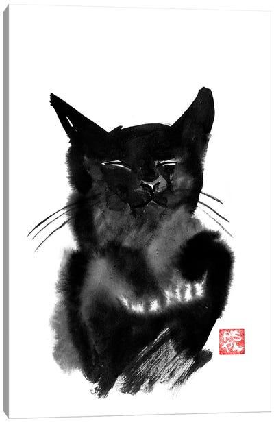 Happy Cat Canvas Art Print - Péchane
