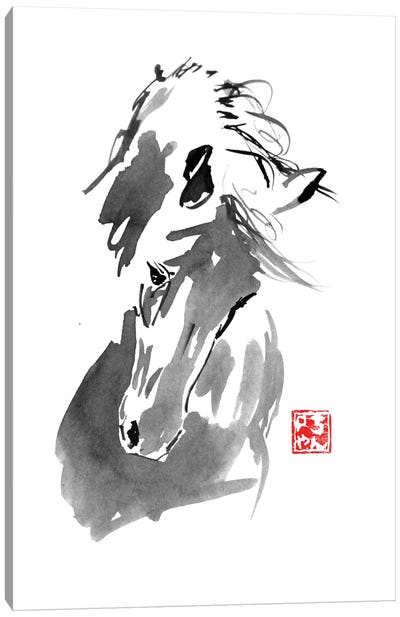 Horse Canvas Art Print - Péchane