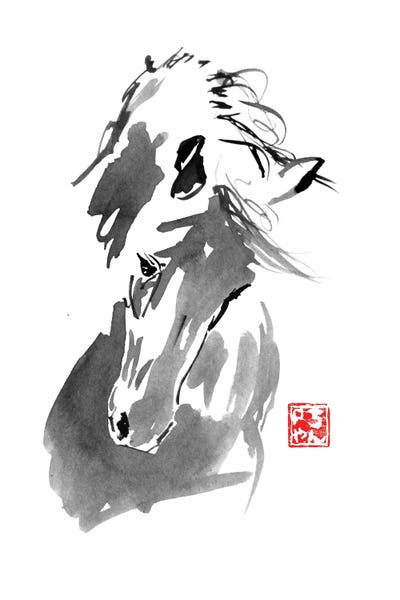 Black & White & Red: Horse by Péchane
