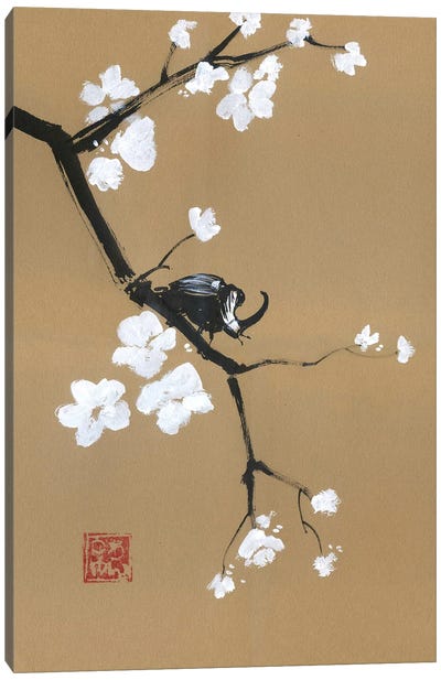 Beetle On A Branch Canvas Art Print