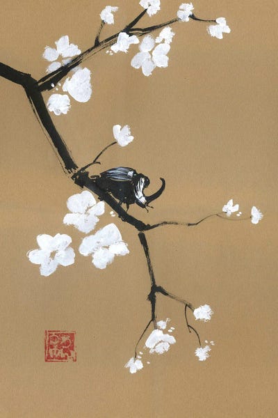 Cherry Blossoms: Beetle On A Branch by Péchane