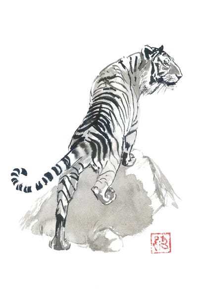 Péchane: Tiger On The Rocks by Péchane
