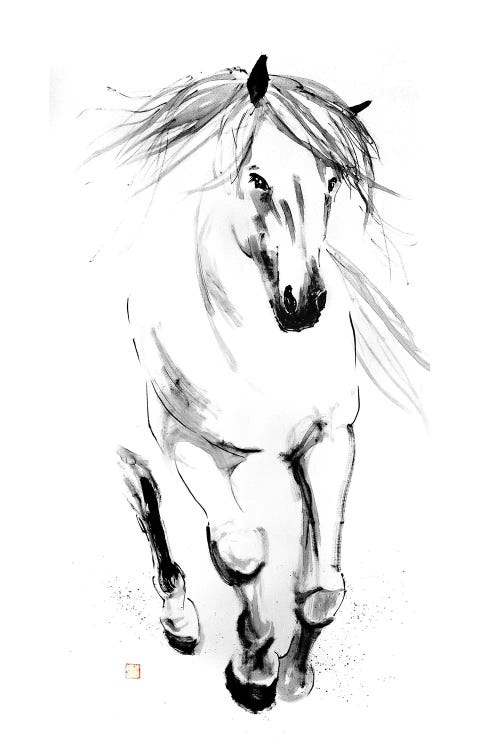 Runing Horse In The Water by Péchane wall art