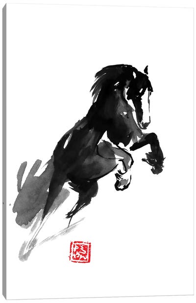 Jumping Horse Canvas Art Print - Péchane